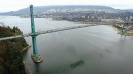 Imagem de Do Campus � Cidade