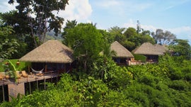 Imagem de No Cora��o da Selva