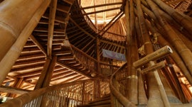 Imagem de A Green School