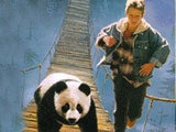 Imagem de A Fant�stica Aventura do Panda