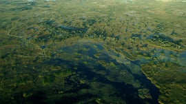 Imagem de Rio Okavango