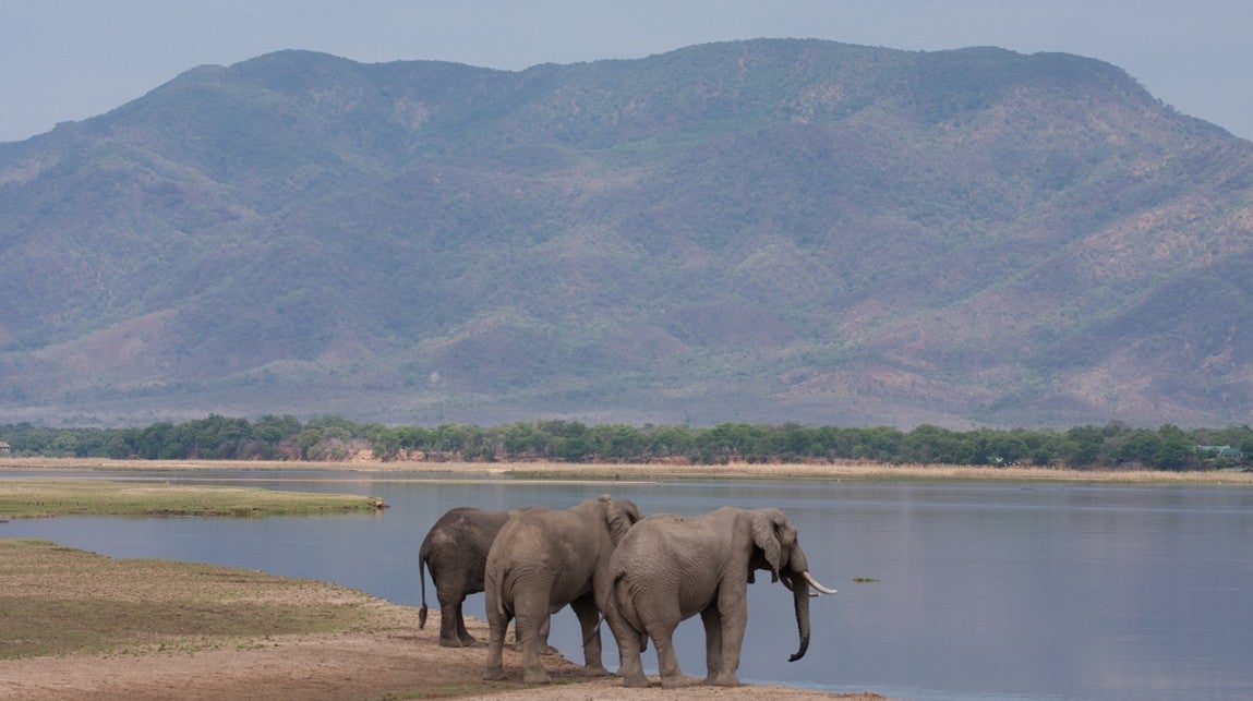 Imagem de Rio Zambeze