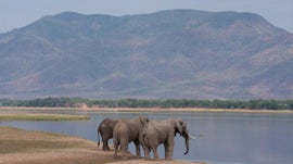 Imagem de Rio Zambeze