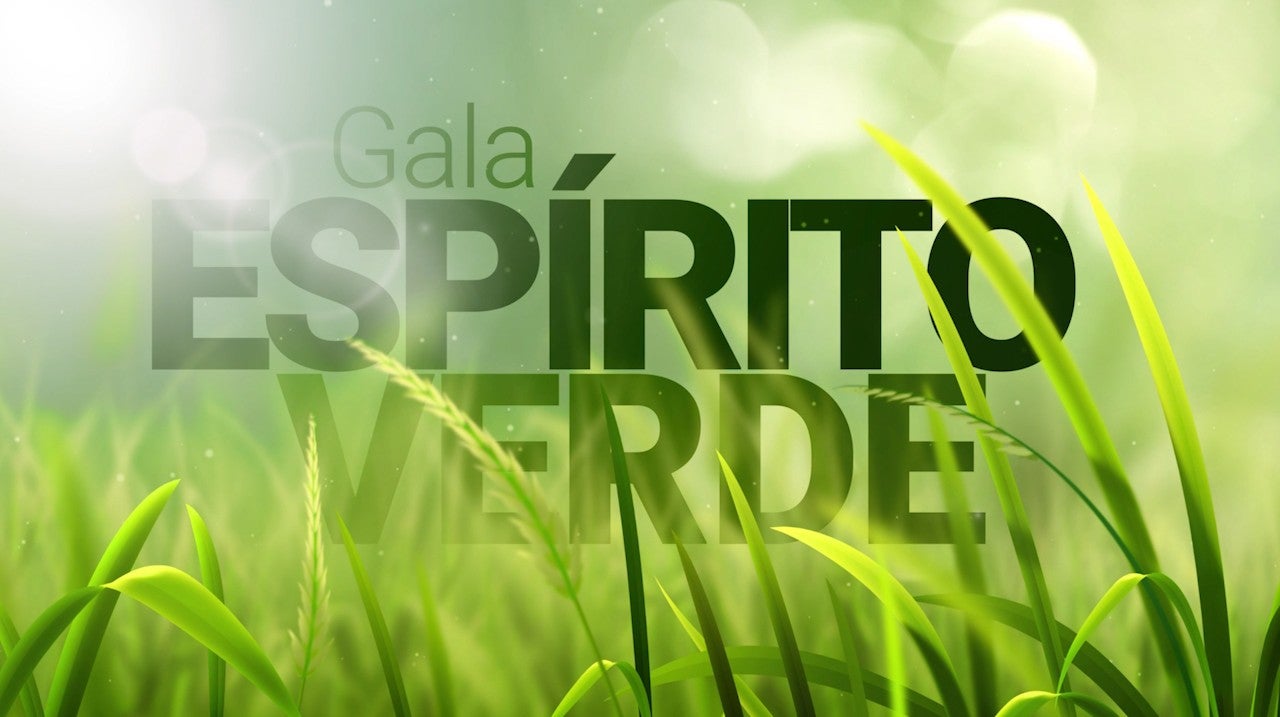 Imagem de GALA ESPÍRITO VERDE