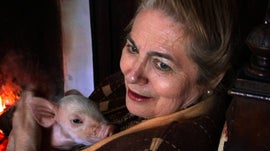 Imagem de Muitos Filhos, um Macaco e um Castelo