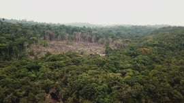 Imagem de Às Portas do Inferno - Ameaçados: Amazónia, Brasil