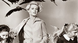 Imagem de Os P�ssaros