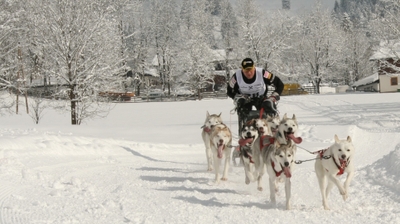 Play - Husky Holandês: De Subestimado a Campeão