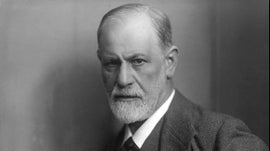 Imagem de Freud 2.0 - O Destino de Teorias que Mudaram o Mundo