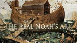 Imagem de A Verdadeira Arca de No�