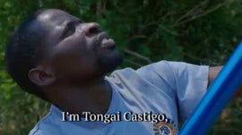 Imagem de Tongai Castigo - As Plantas S�o a Minha Vida