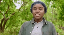 Imagem de Amina Amade - O Mundo dos Macrofungos