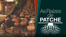 Imagem de As Ra�zes de Patche
