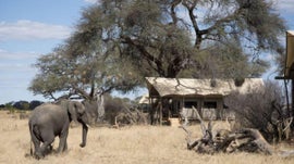 Imagem de Somalisa Expiditions Camp