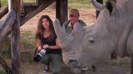 Imagem de Sango Safari Lodge