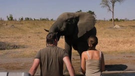 Imagem de Zambezi Expeditions Camp