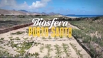 Play - Biosfera - Porto Santo