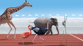 Imagem do Programa / Episiódio - Athleticus