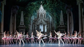 Imagem de Sonho de Uma Noite de Ver�o