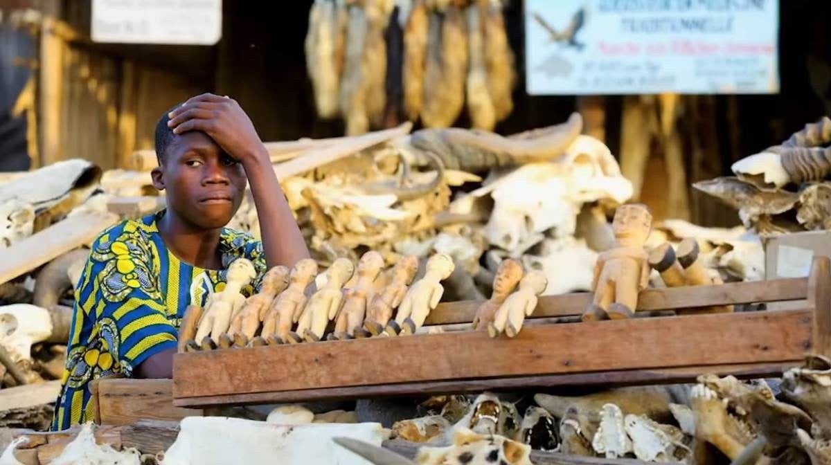 Imagem de Togo