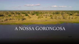 Imagem do Programa / Episiódio - A Nossa Gorongosa