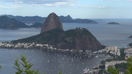 Guanabara, Ainda Há Vida na Baía
