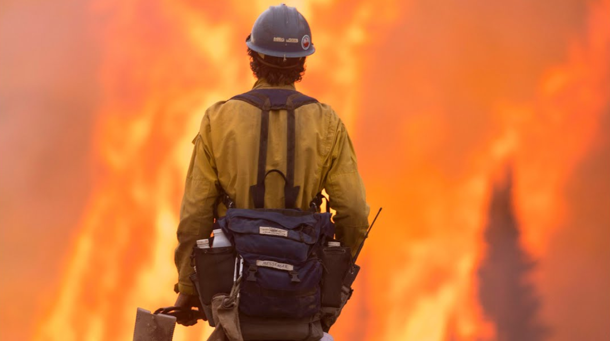 Megaincndios: Porque Ardem as Florestas