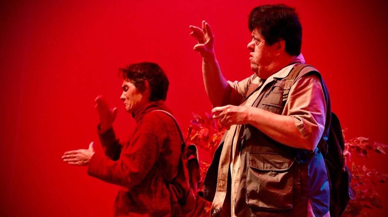 Play - Fala aos Bichos