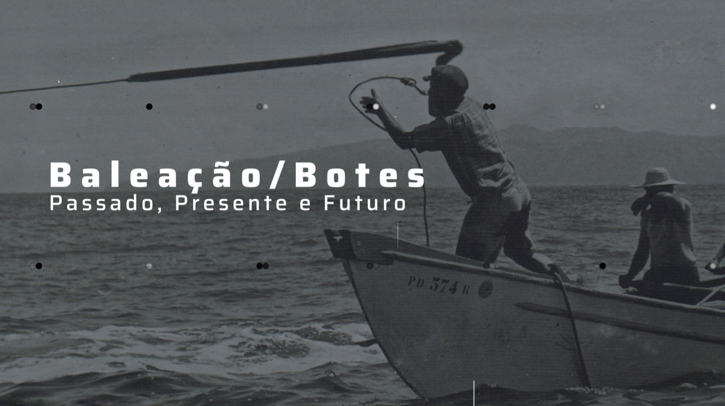 Baleao/Botes, Passado, Presente e Futuro