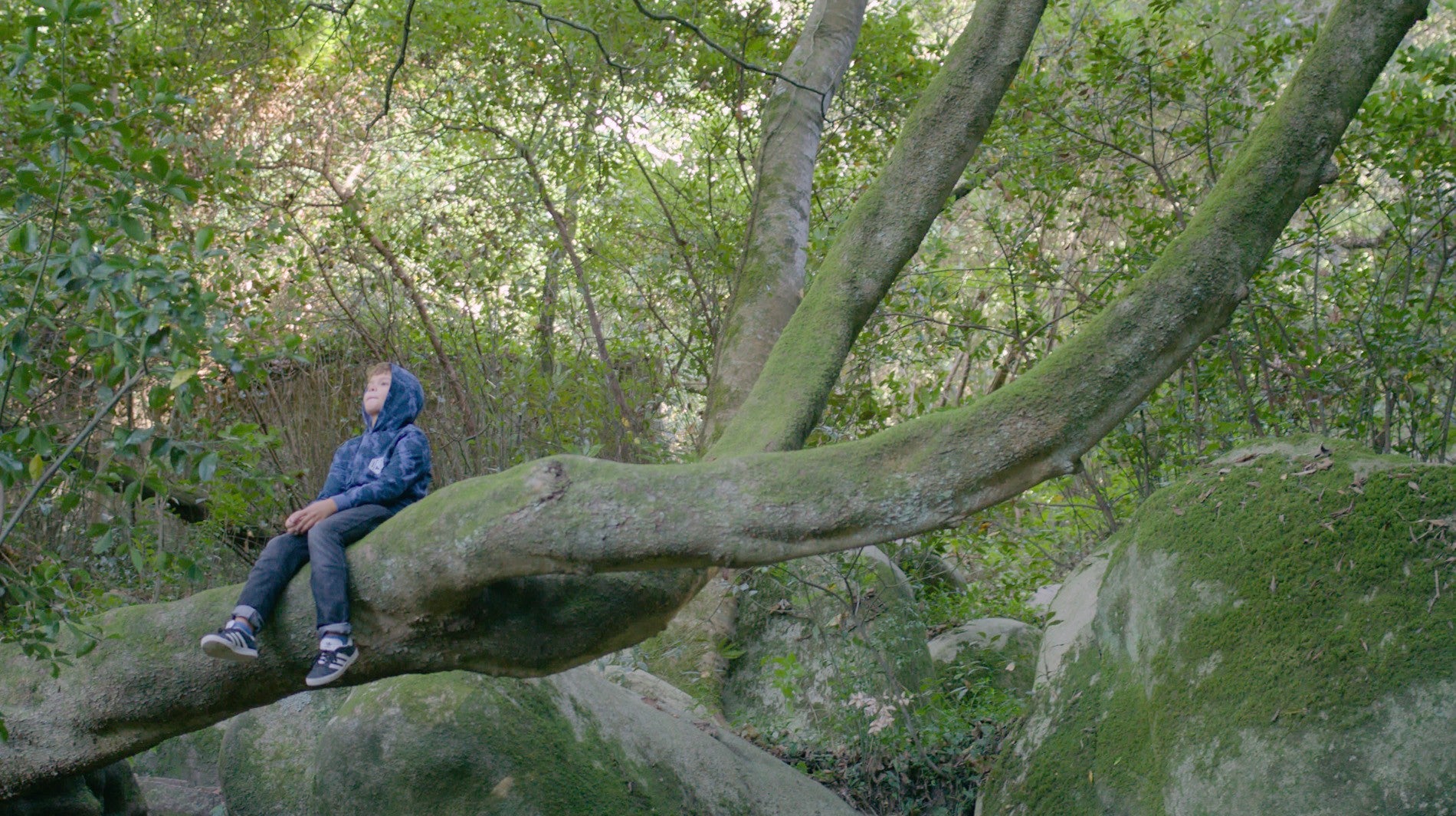 Play - Sim, Eu Consigo: Tiago, Mãos Que Falam