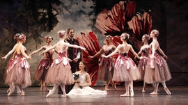 Imagem de O Quebra-Nozes