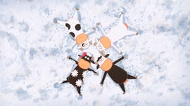 Imagem de O Quarteto das Vacas: Viagem � Montanha