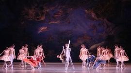 Imagem de Gala Petipa