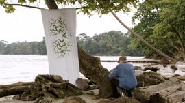 Imagem de Uma Vida na Floresta