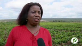 Imagem de Hist�ria de Ana Nhaca ...