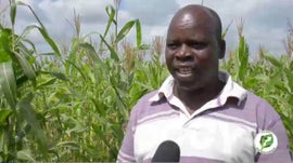 Imagem de Hist�ria do Senhor Ol�mpio ...