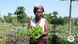Imagem de Inhassoro / Hist�ria de Maria Mabutane