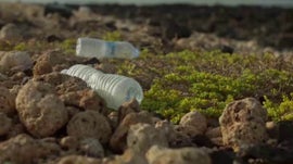 Ameaas Diretas Contra a Biodiversidade Marinha, Terrestre e Costeira