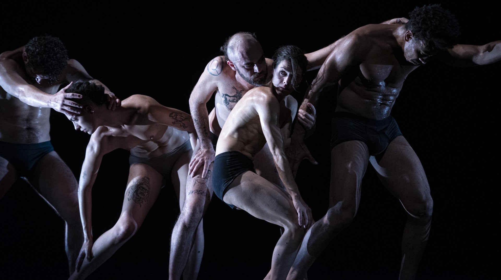 Imagem de Autópsia - Percurso de uma Criação