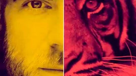 Imagem de Animal Humano