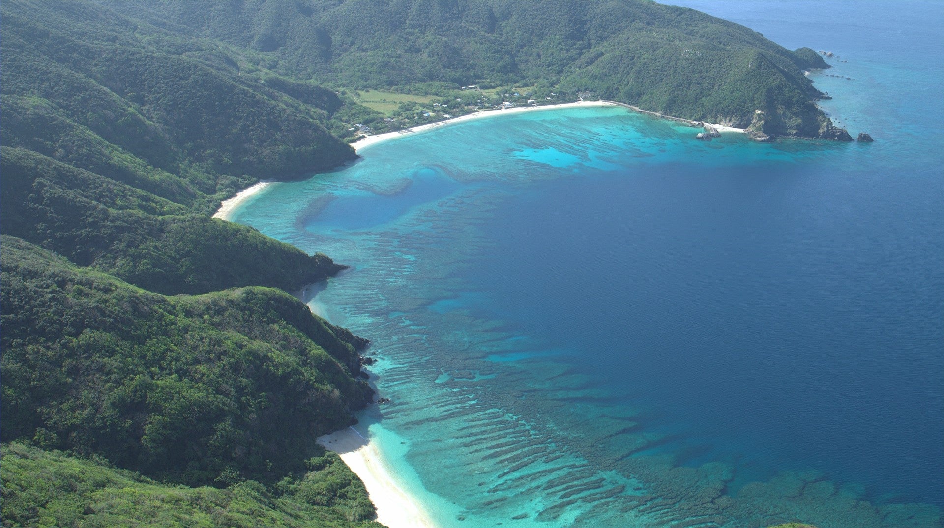 Mar de Amami: Recifes de Coral Milagrosos