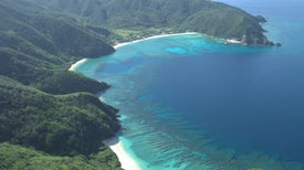 Mar de Amami: Recifes de Coral Milagrosos