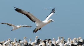 Imagem de A Uni�o Faz a For�a