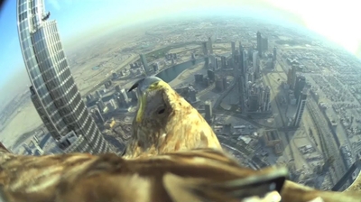 Play - Uma Águia no Dubai