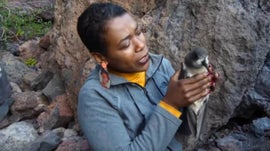 Imagem de Neuza de Pina / Gongon-Biorn