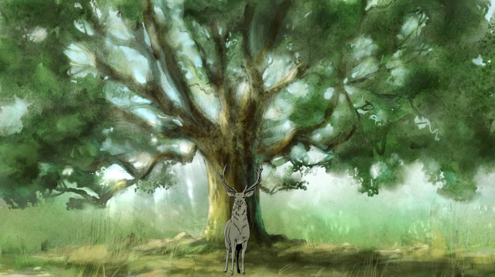 Imagem de Animais e Bruxas