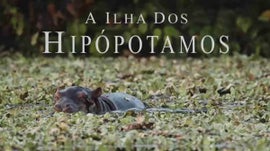 Imagem de A Ilha dos Hipop�tamos