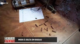 Situaes de Violncia em Bissau / Ensino Superior Pblico Angolano / Combate  Malria ...