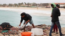 Como Anda o Setor das Pescas em Cabo Verde