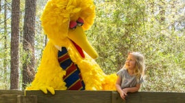 Imagem de Caring for Each Other